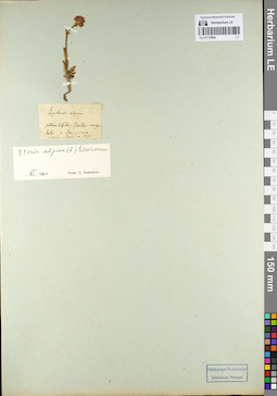 LE 01110504