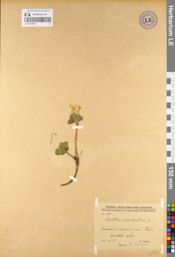LE 01110793