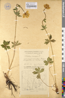 LE 01110916
