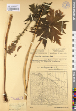 LE 01110963
