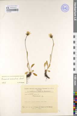LE 01140274