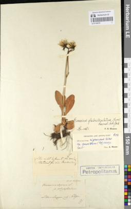 LE 01140319
