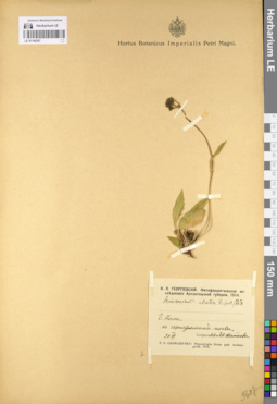 LE 01140397