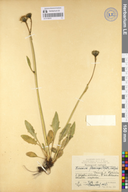 LE 01140419