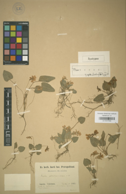 LE 01017334
