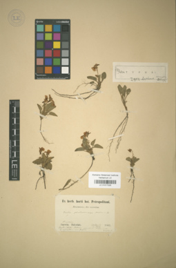 LE 01017335
