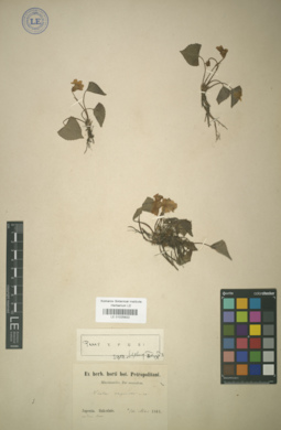 LE 01025822