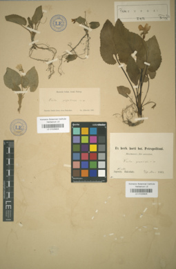 LE 01025825