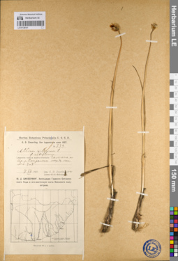 LE 01136141