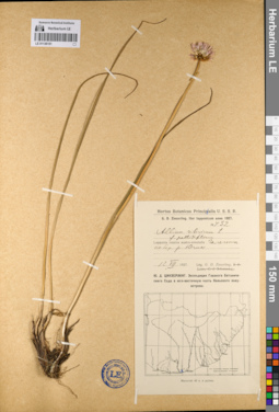 LE 01136151