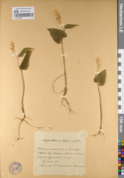LE 01136198