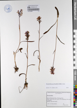 LE 01136286