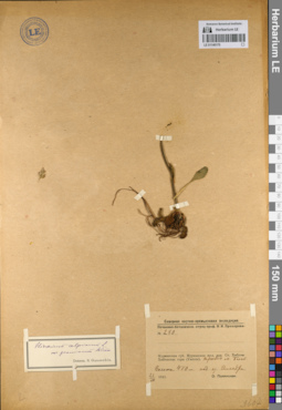 LE 01140175