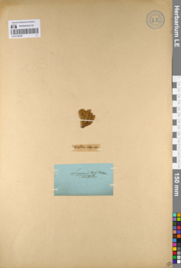 LE 01145120