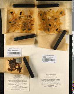 LE 01077117