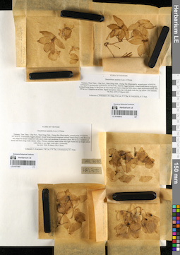 LE 01059912