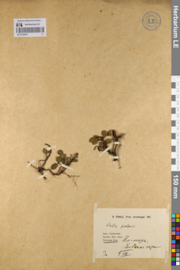 LE 01142416