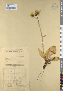 LE 01140052