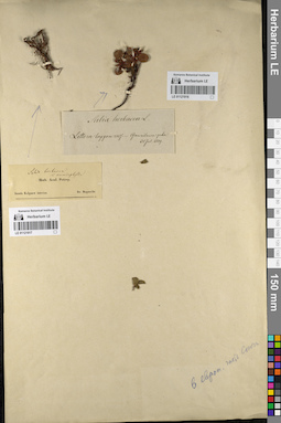 LE 01121916