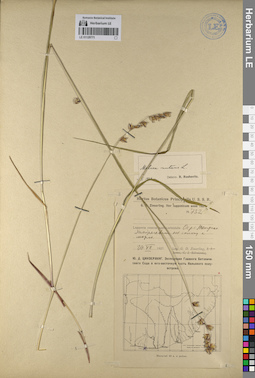 LE 01129771