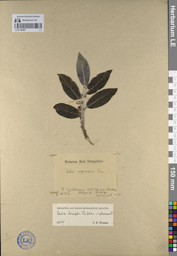 LE 01136847