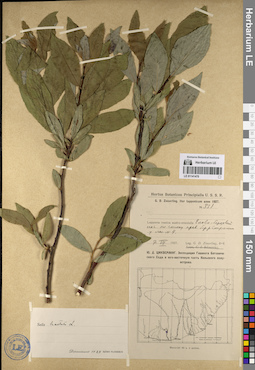LE 01141470