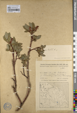 LE 01141475