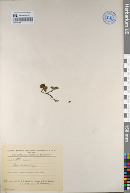 LE 01141508