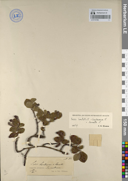 LE 01141552