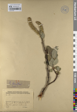 LE 01141793