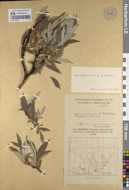 LE 01141817