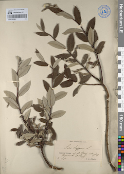 LE 01141896