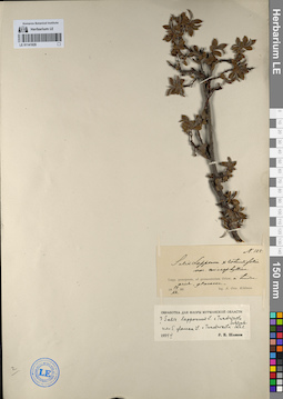 LE 01141929