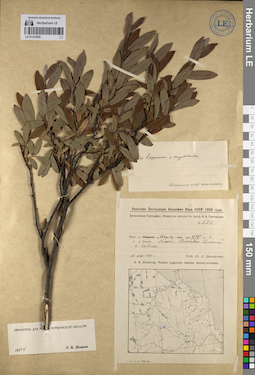 LE 01141938