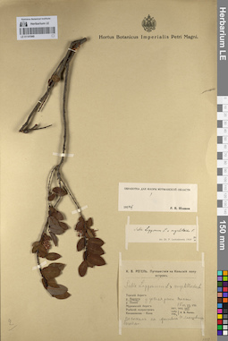 LE 01141940
