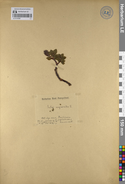 LE 01141967