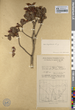 LE 01142073