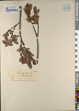 LE 01142083