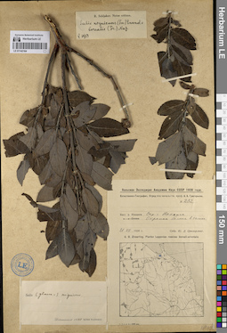 LE 01142164