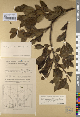 LE 01142176