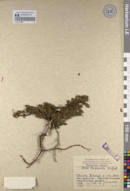 LE 01142562