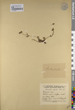 LE 01125902