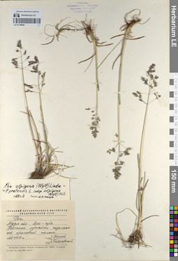 LE 01129845
