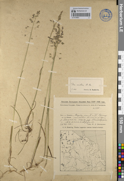 LE 01129931
