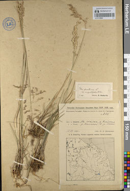 LE 01130090