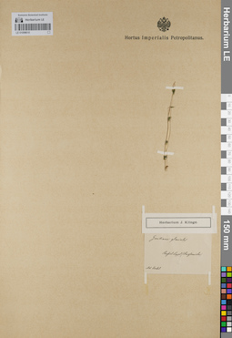 LE 01099010