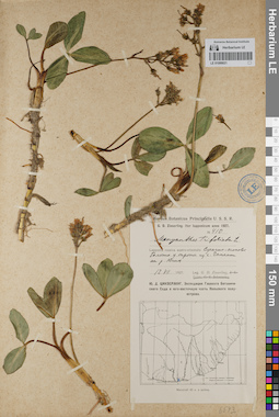 LE 01099021