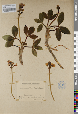LE 01099029