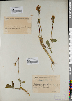 LE 01099040