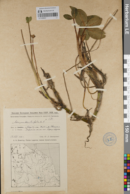 LE 01099047